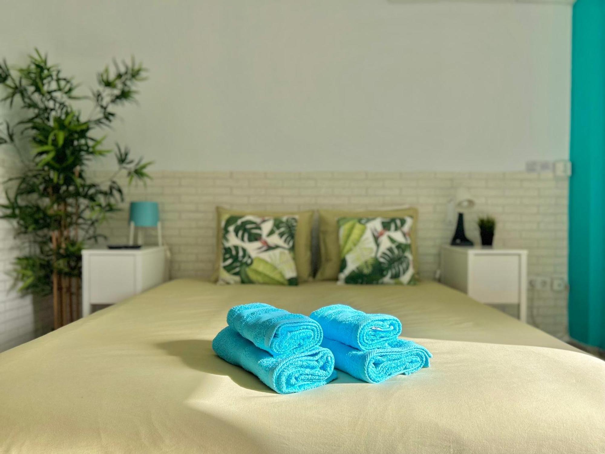 Apartamento Hoja De Palma *