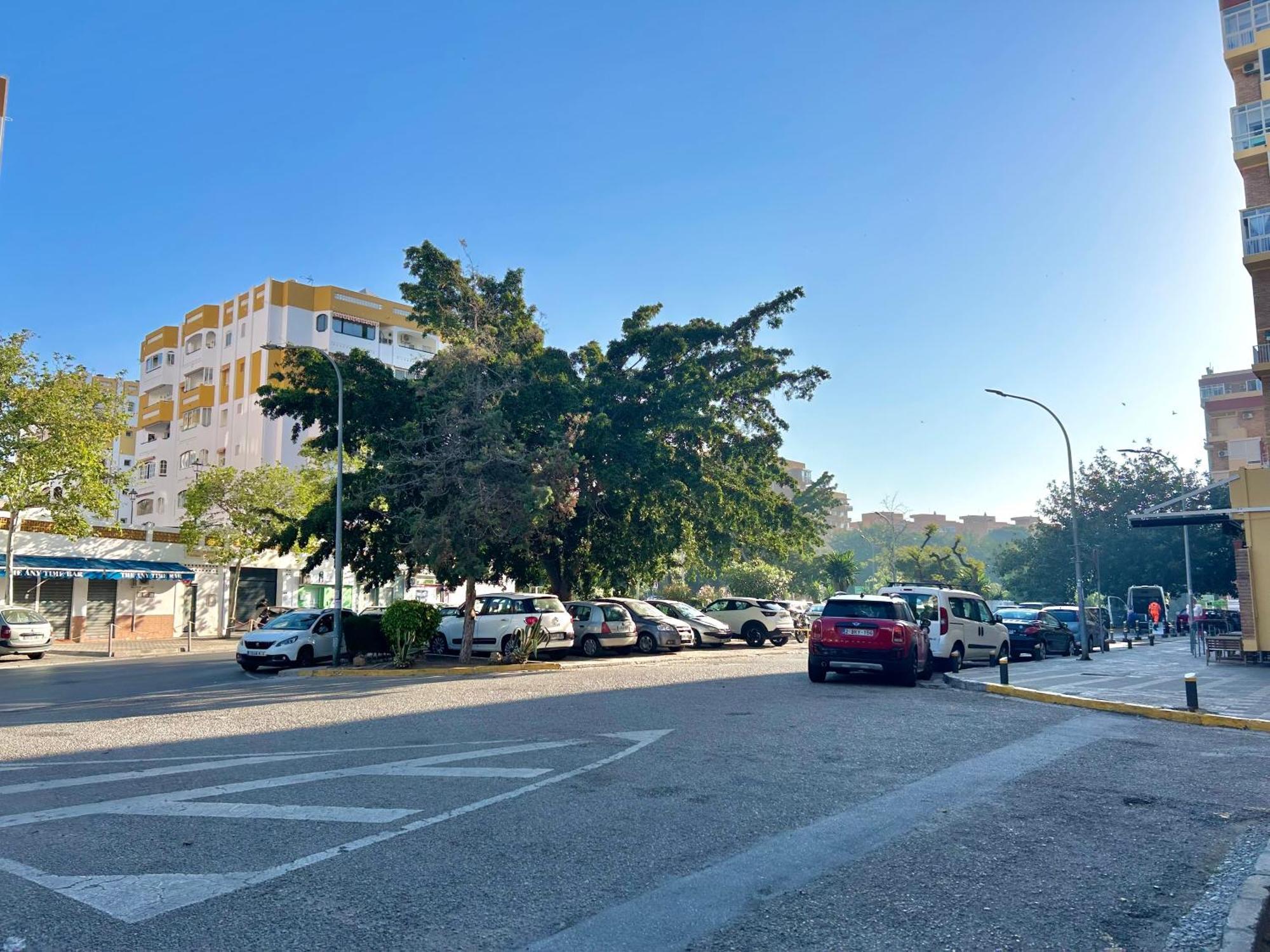 Apartamento Hoja De Palma